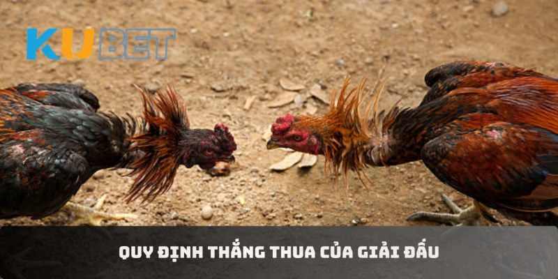 Quy định thắng thua của giải đấu